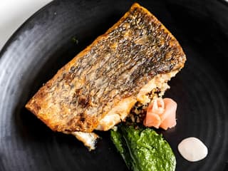3-Hour Starlight Dinner Cruise in Sydney — gallery 2