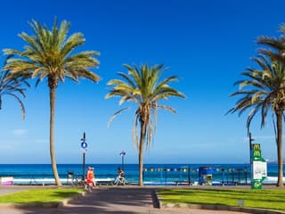 Tenerife: Guided Island Tour + Roundtrip Transfer — gallery 3
