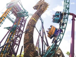 Busch Gardens Tampa: Entry Ticket with Optional Quick Queue — gallery 3