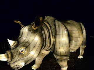 Zoo Lights at Zoo Miami — gallery 3