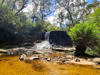 Blue Mountains Off the Beaten Path Guided Bushwalks, Secret Lookouts & BBQ Lunch — gallery 2