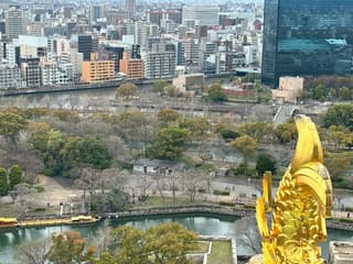 Osaka Castle: Guided Walking Tour — gallery 3
