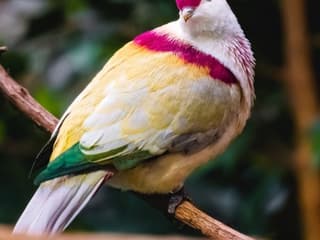 Toledo Zoo & Aquarium: Entry Ticket — gallery 2