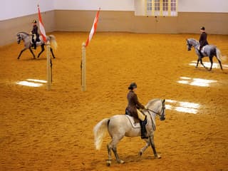 Spanish Riding School Training with Music Tickets — gallery 3