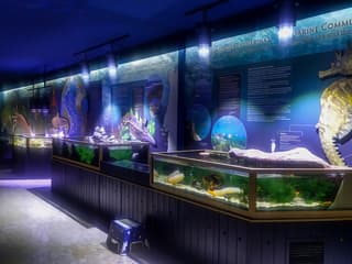 Tickets to Vasco da Gama Aquarium in Lisbon — gallery 1