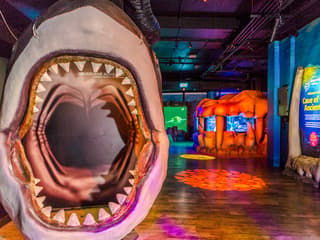 Shark Dive Xtreme Tickets at SEA LIFE Melbourne Aquarium — gallery 3