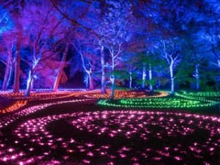 Lightscape Brooklyn — gallery 3