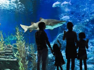Aquaria Phuket Group Saver Tickets for Foreign Travelers: Group of 3 & More — gallery 2