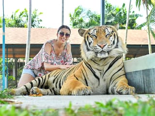 Tiger Park Tickets with Tiger Interactions — gallery 1