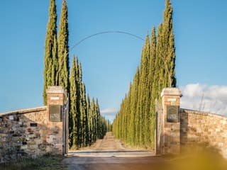 Corte Pavone Winery Estate: Montalcino Wine Tasting — gallery 2