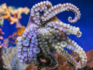 Barcelona Aquarium Skip-the-Line Tickets — gallery 3