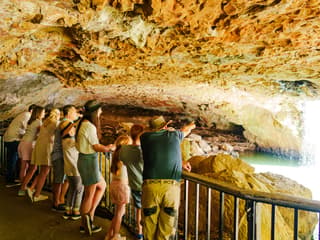 Natural Bridge & Springbrook Waterfalls Tour — gallery 2