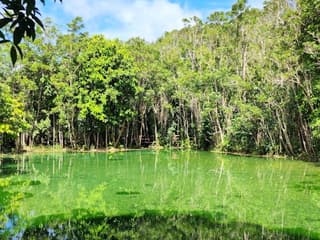 Tiger Cave Temple, Emerald Pool & Hot Springs: Full-Day Tour from Krabi — gallery 3