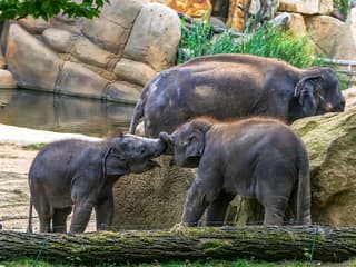 Prague Zoo Tickets — gallery 1
