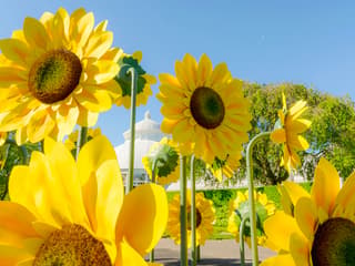 New York Botanical Garden Tickets — gallery 2