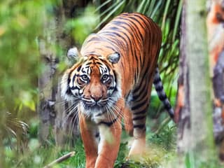 Edinburgh Zoo Entrance Tickets — gallery 1