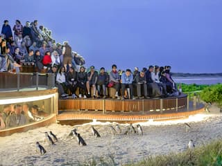 From Melbourne: Half/Full-Day Phillip Island Day Trip with Penguin Parade — gallery 2