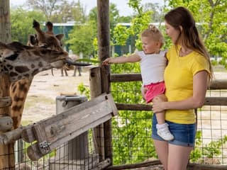 ZooTampa at Lowry Park: Fast Track Ticket — gallery 1
