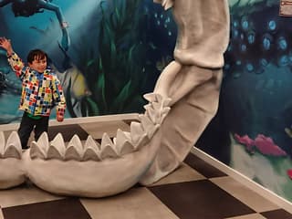 Tickets to the Big Fun Museum — gallery 2