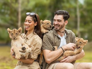 Lion Land Phuket Tickets — gallery 2