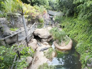 Jungle Park: Entry Ticket — gallery 1
