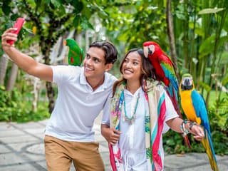 Bali Bird Park Tickets + Optional Lunch with Bird Stars — gallery 1