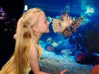 SEA LIFE Manchester: Entry Ticket, SEA LIFE Manchester, Manchester