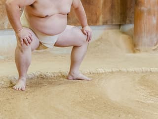 Tickets to Sumo Morning Training in Tokyo — gallery 3