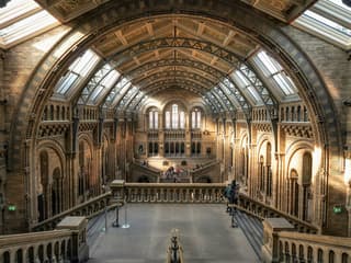 British Museum & National Gallery Private Guided Tour — gallery 2