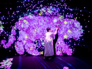 E・ZO FUKUOKA teamLab Forest Tickets — gallery 2