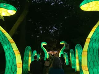 Zoo Atlanta: IllumiNights — gallery 2