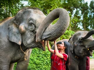 Kerchor Elephant Family Experiences with Round-Trip Transfers — gallery 2