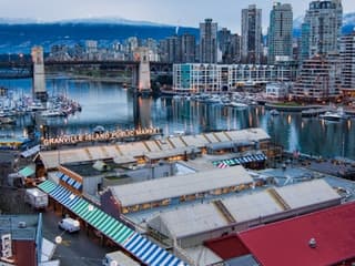 Vancouver: Guided Tour + Capilano Suspension Bridge Park Visit + Lunch — gallery 3