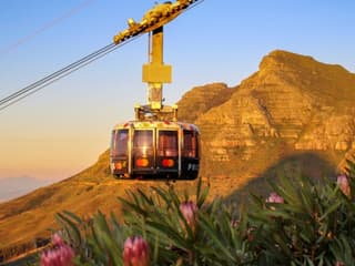 Cape Town Super Combi — gallery 1