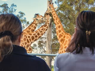 Featherdale Wildlife Park Tickets — gallery 2