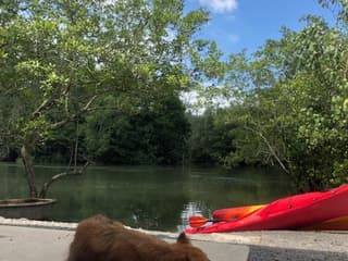 Pulau Ubin Kayaking & Cycling Full-Day Tour with Lunch — gallery 2