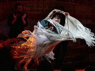 Madrid: Flamenco Show at Flamenco de Leones + Dinner — gallery 1