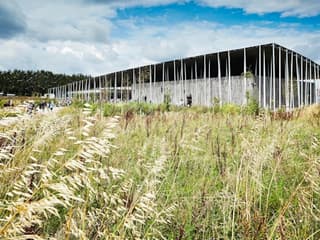 Stonehenge: Admission with Audio Guide + Premium Transport from London — gallery 3