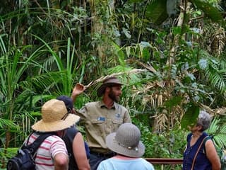 Cairns: Skyrail Rainforest Cableway — gallery 1