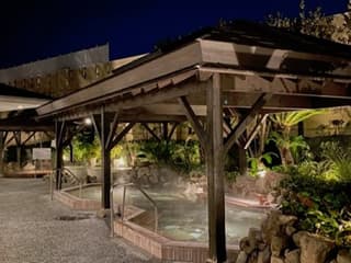 Naniwanoyu Natural Spa — gallery 1