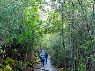 kunanyi/Mt Wellington Explorer One-Way Bus Pass — gallery 3