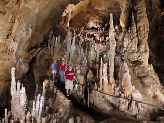 Twisted Trails at Natural Bridge Caverns: Entry Ticket — gallery 1
