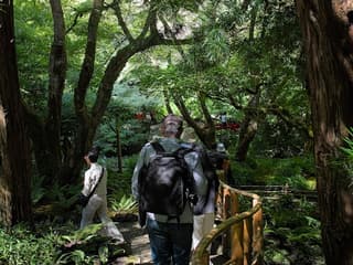 Victoria & Butchart Gardens: Day Trip from Vancouver — gallery 2