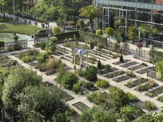 Hortus Botanicus Leiden: Sıra Beklemeden Giriş Bileti, Hortus Botanicus Leiden, Leiden