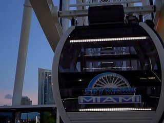 Skyviews Miami Observation Wheel: Entry Ticket — gallery 2