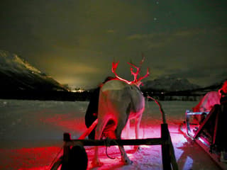 Tromso: Northern Lights, Reindeer and Sami Experiences — gallery 2