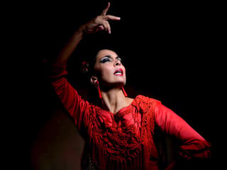 Sensaciones - Teatro Flamenco Granada — gallery 1