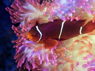 Cairns Aquarium by Twilight — gallery 3