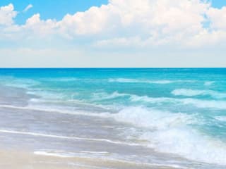 Bimini Bahamas: Roundtrip Ferry from Fort Lauderdale