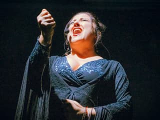 Costa Adeje: Olé Flamenco Show — gallery 2